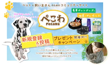 キャンペーンイメージ