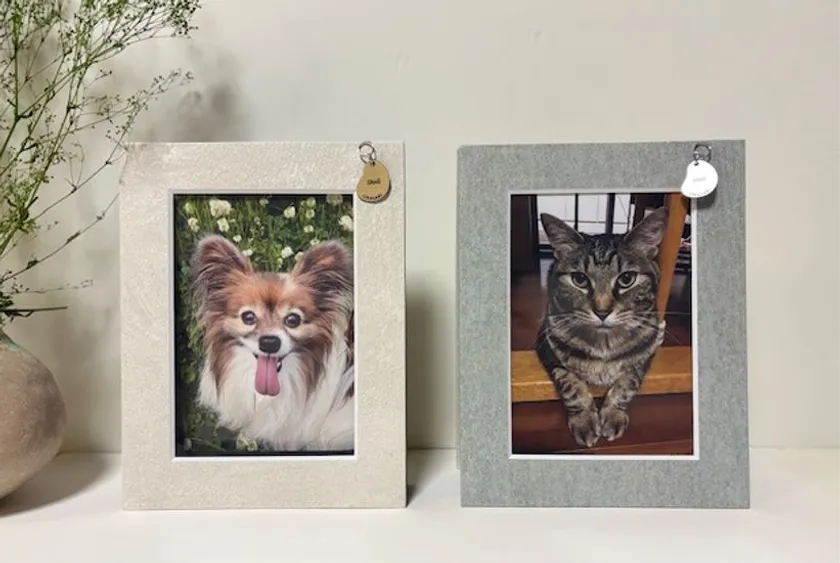 TEKODEKO RECOLLECTION プチテコレ(ネームタグ付き)