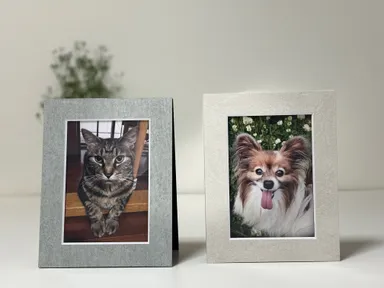 プチテコレ(ネームタグなし)