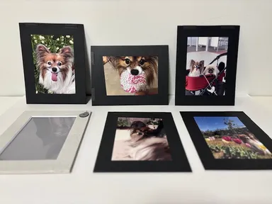 フォトフレーム＋マグネット台紙5枚