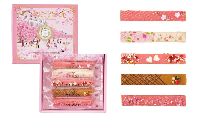 鮮やかなチョコレート。 5本セットです