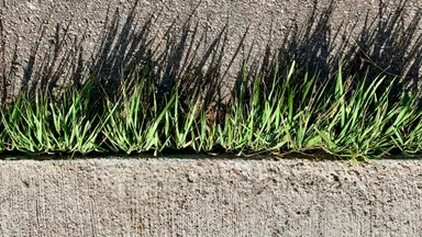 展示イメージ(4)