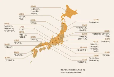 これまでに豆腐加工した大豆一覧
