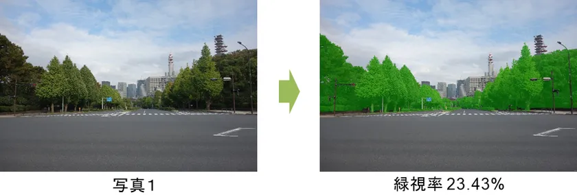 図1 緑視率:人の視野(写真で代替)に占める緑の割合