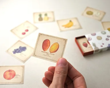 図鑑風ミニカード by mocolier