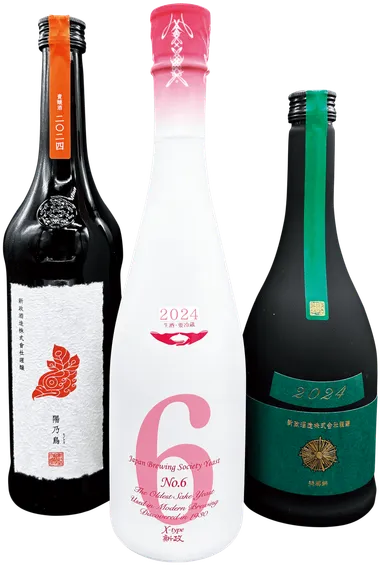 新政 飲み比べ３種セット（No.6、陽乃鳥、ヴィリジアン）