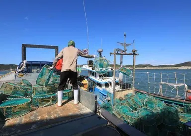 延坪島の漁の様子(2)