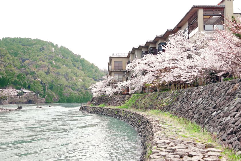 一面の桜　秋は紅葉
