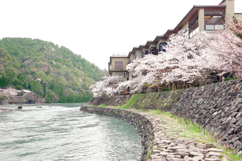 一面の桜 秋は紅葉