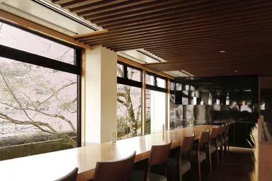 桜も紅葉も見えるカウンター