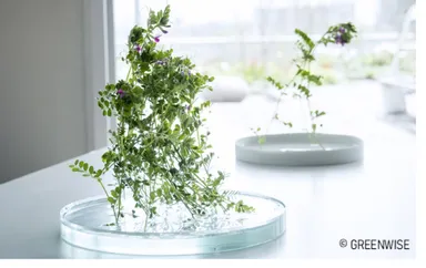 STABiO(TM) SLOW VASE TECH