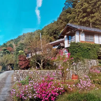 コミュニティカフェの花々