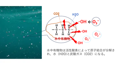 水中有機物分解