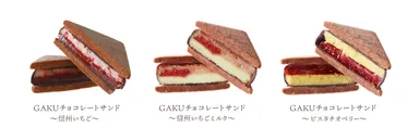 信州いちごフェア限定　GAKUチョコレートサンド3種