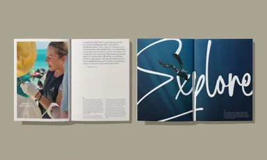 マイナー・ホテルズ・ブランド 新ブローシャーデザイン