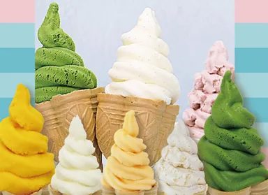 (5)ご当地・観光地アイス