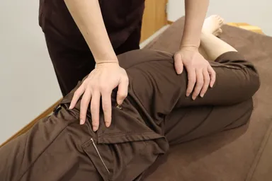 ダイエット専門オプション