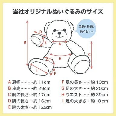 おもいで制服 当社オリジナルぬいぐるみのサイズ