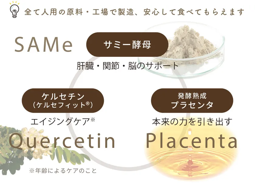 3つのパワーで健康維持をトータルサポート