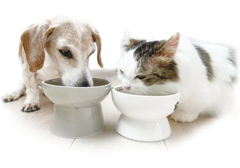 いつまでも健やかでいてほしい