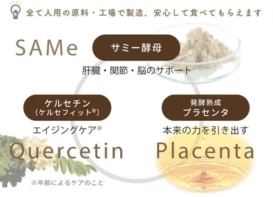 3つのパワーで健康維持をトータルサポート