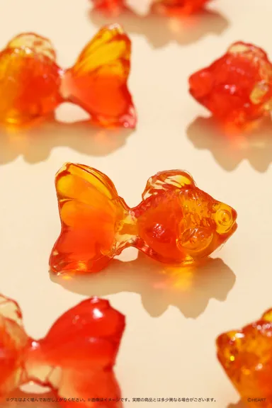 『Figummy360KINGYO』イメージ