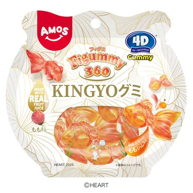 『Figummy360KINGYO』パッケージ