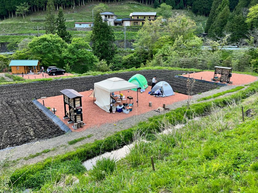 田んぼに誕生した田んぼサイト