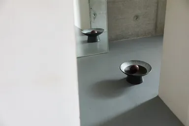 保立剛氏　クラファン作品イメージ