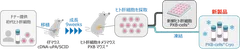 (1)