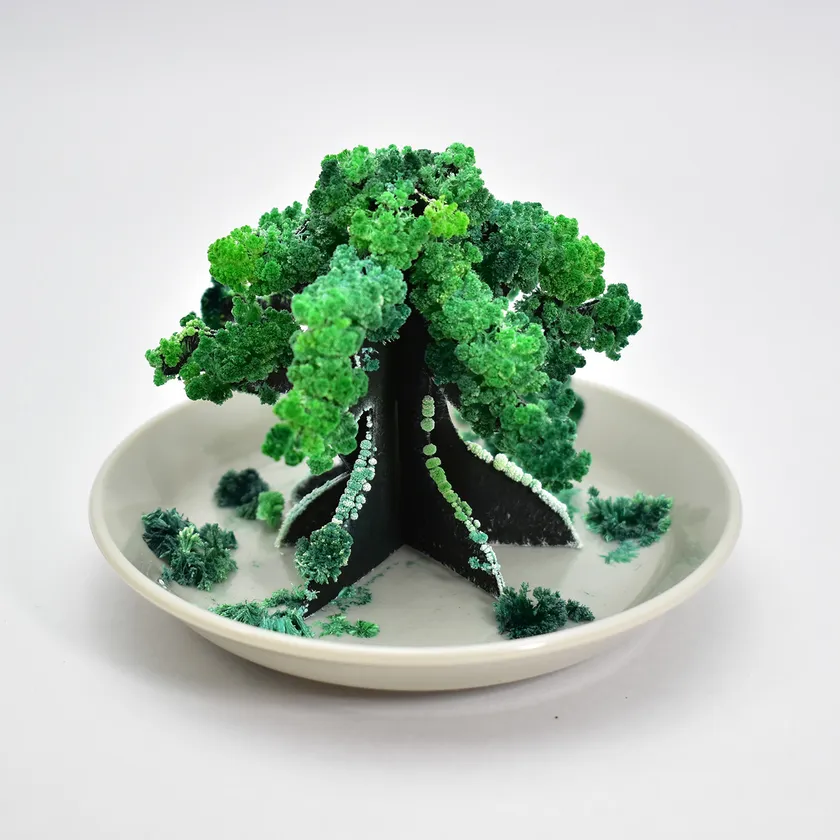 盆栽(1)