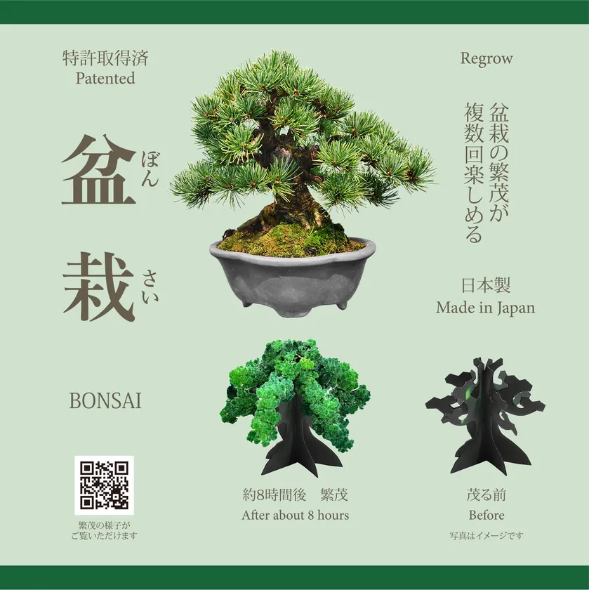 繁茂の様子