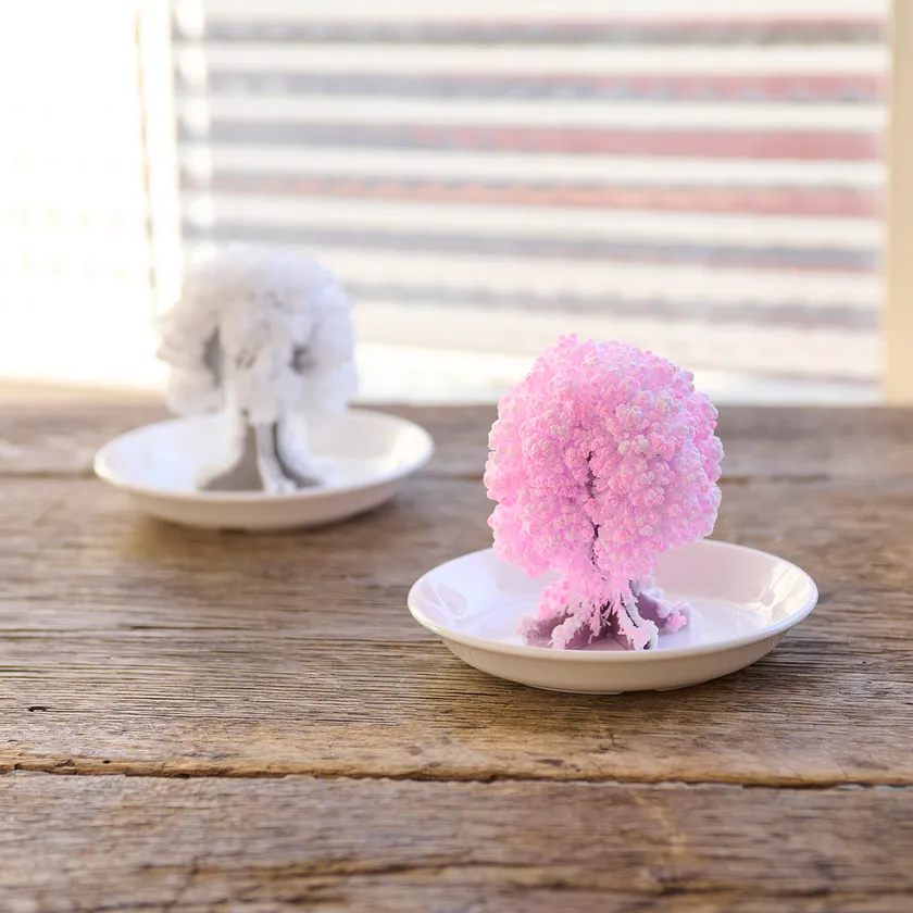 樹氷(左)、桜の都(右)