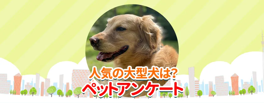 「もふもふの大型犬ランキング」を公開 子犬を見つける検索サイト「愛犬ブリーダー」が調査