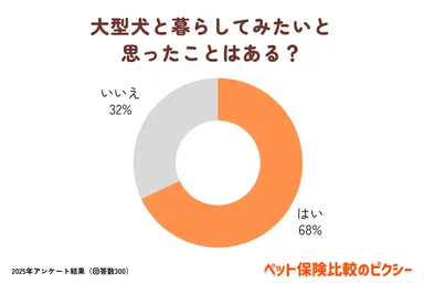大型犬と暮らしてみたいと思ったことはある？
