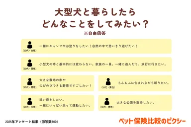 大型犬と暮らしたらどんなことをしてみたい？