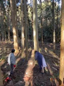 仁和寺の裏山の木を伐採する活動