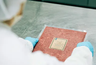 犬猫ファーストで手作りしています