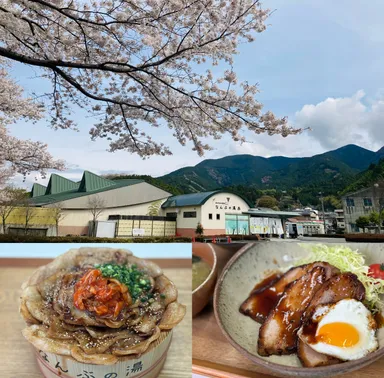 森の中の温泉なんぶの湯でお花見