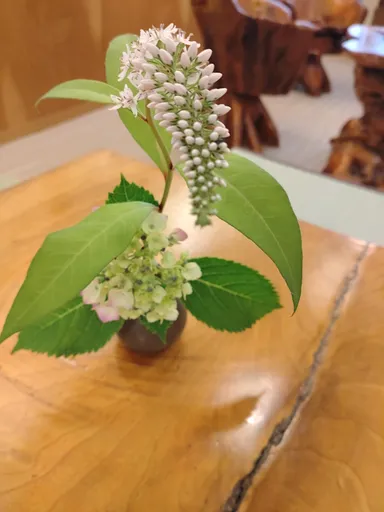 館内には野の花を