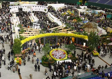 昨年のオーキッド・ロード