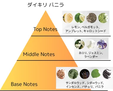 シナリー　ダイキリ　香水 2本セット フランス・ロベルテ社とのコラボレーションで生まれた 新たな香りの