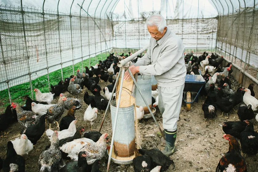 信州上田地どり 真田丸もメニューに