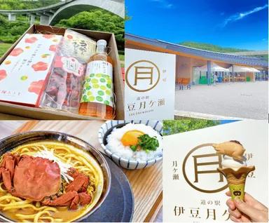 道の駅伊豆月ケ瀬について