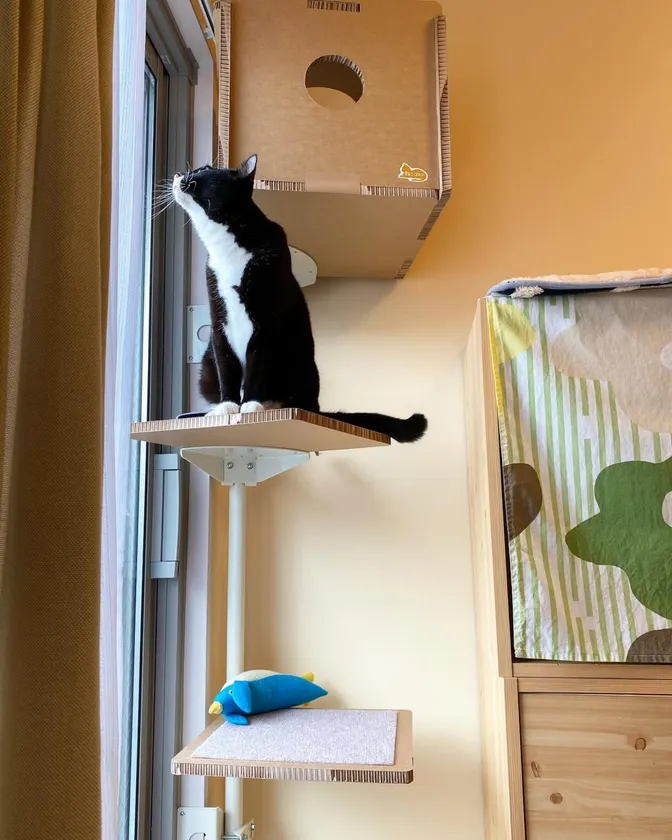 アンバサダー投稿写真1