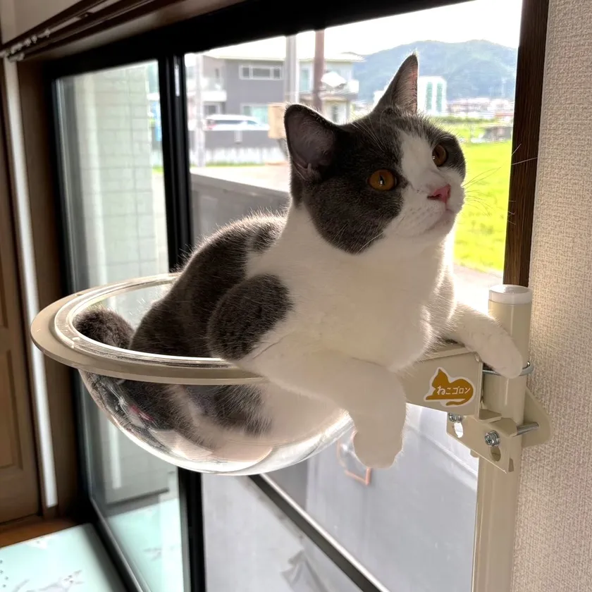 アンバサダー投稿写真2