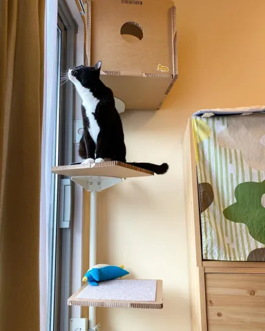 アンバサダー投稿写真1