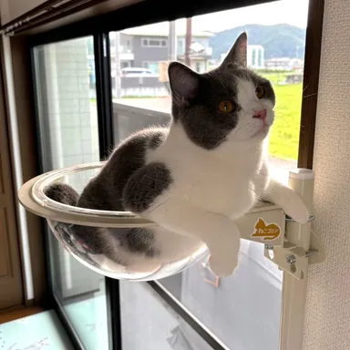 アンバサダー投稿写真2