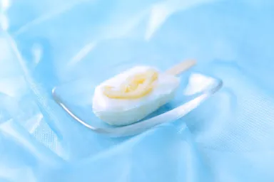 島レモン葛アイス(2)