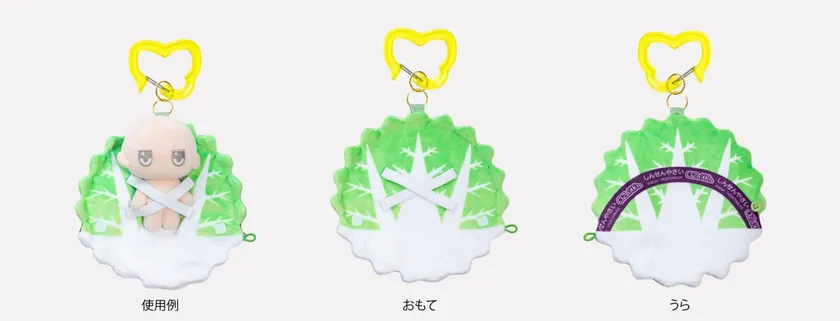 はくさい:広げた状態の使用例・おもて・うら